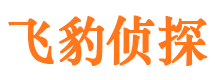 峨眉山市侦探